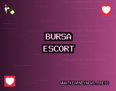 Bursa Escort: Nilüfer Escort, Mudanya Escort, Gürsu Escort