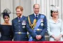 prince harry prince william royal household