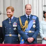 prince harry prince william royal household