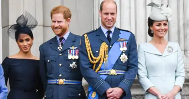 prince harry prince william royal household